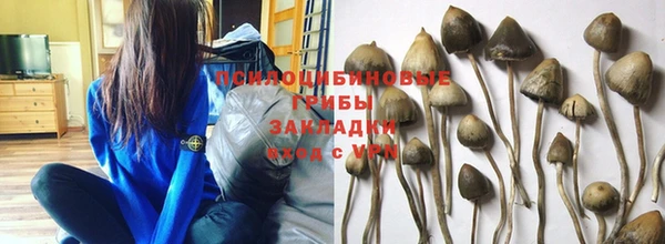 дурь Верея