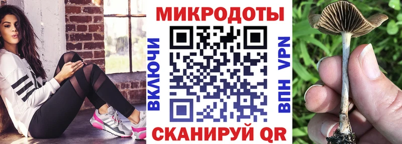 ссылка на мегу tor  Гатчина  Псилоцибиновые грибы Psilocybe 